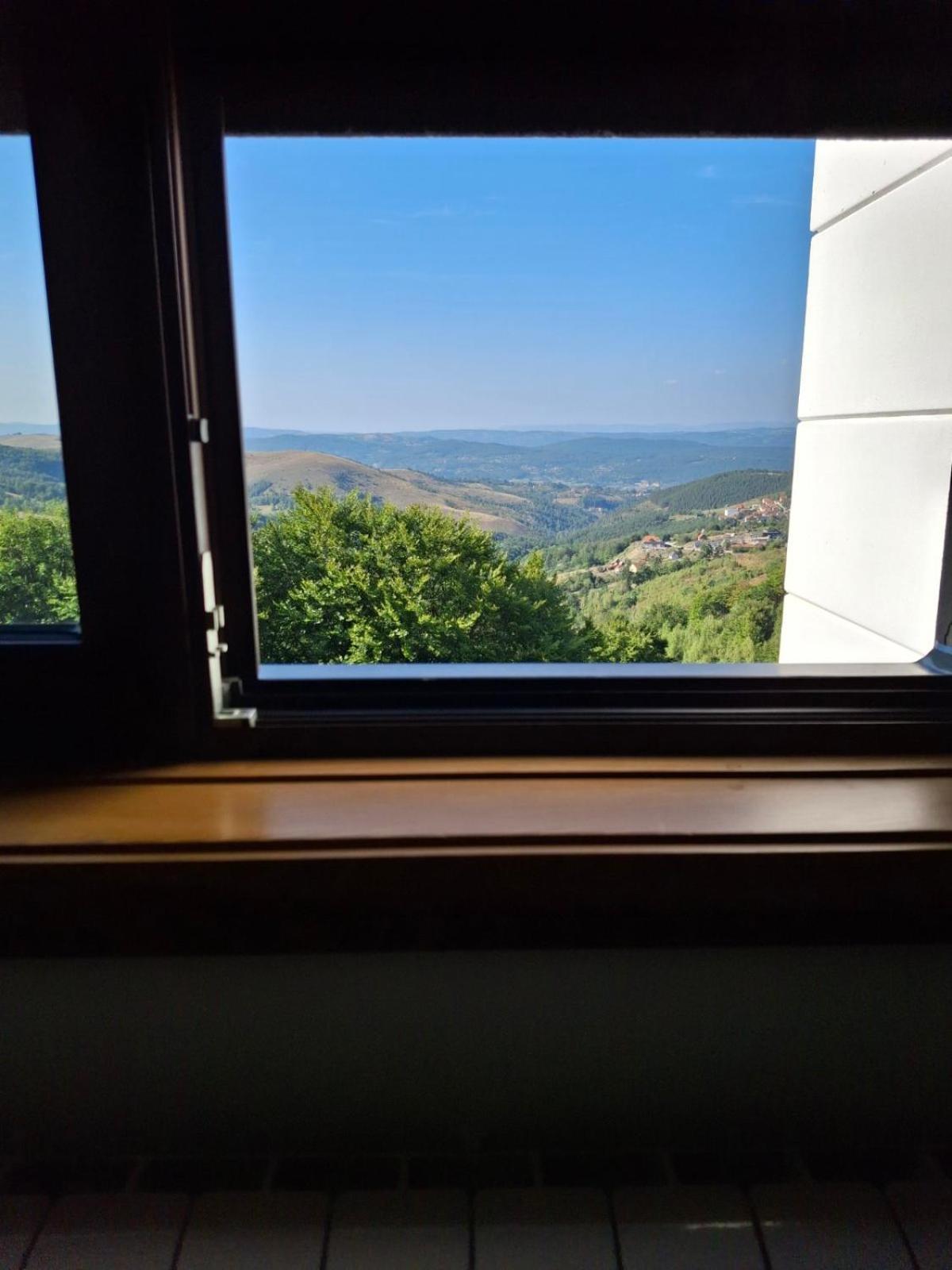 Dunja Zlatibor